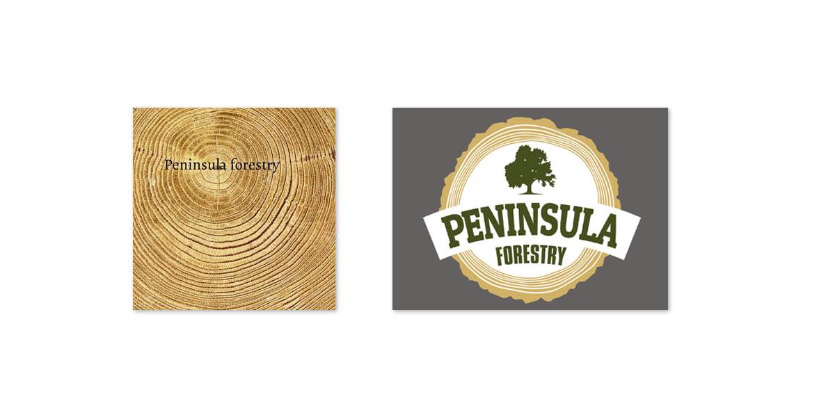 Integrated Ideas took inspiration from the end of a log and incorporated the look of the rings into the new logo