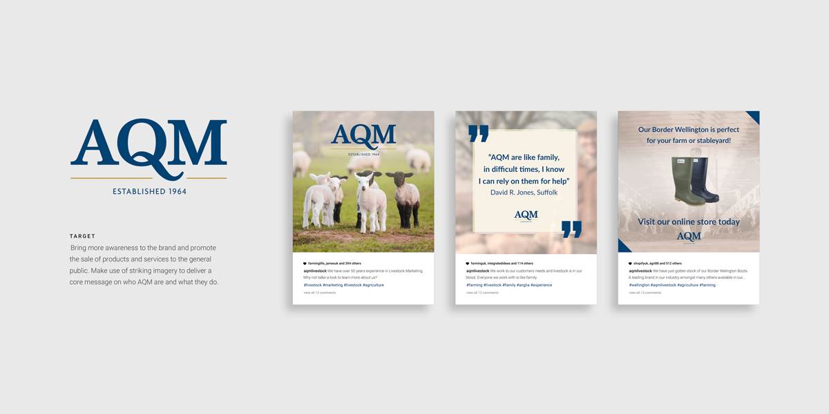 AQM Website Case Study - Instagram Social Media Ideas for AQM
