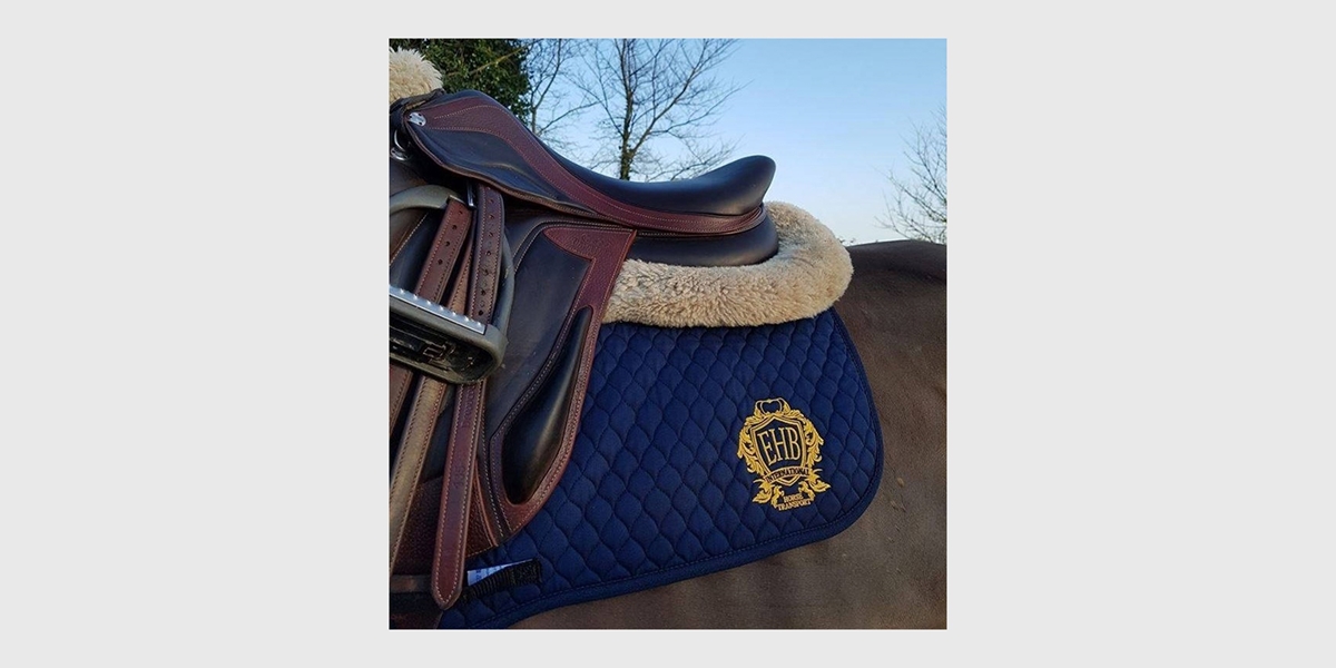 Embroidered blue horse rug and saddle on horse
