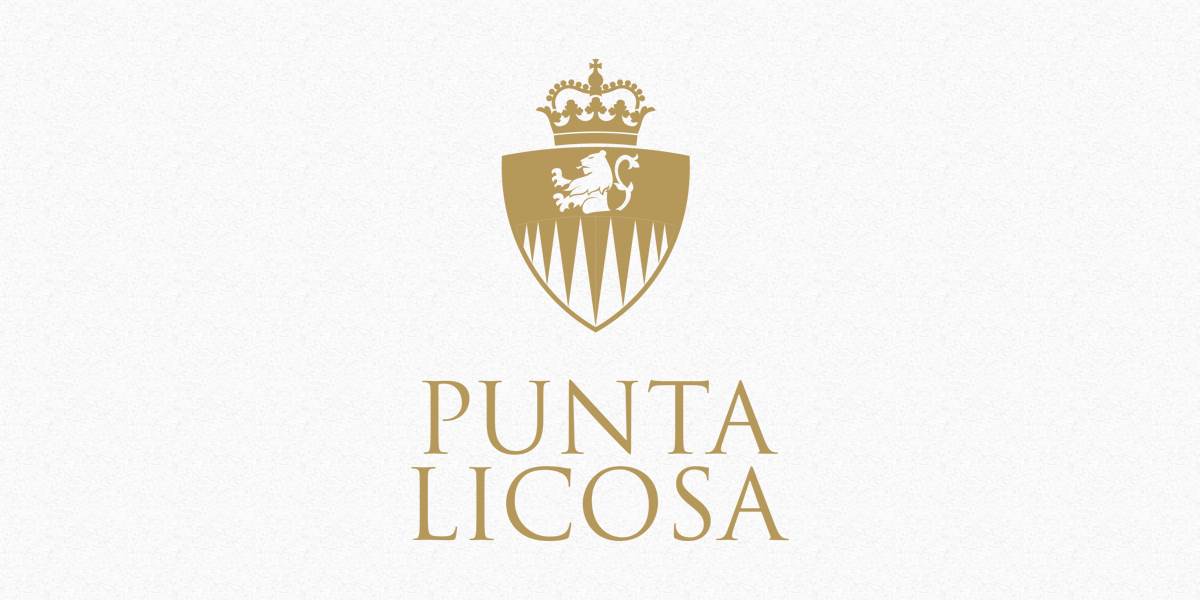 Punta Licosa logo