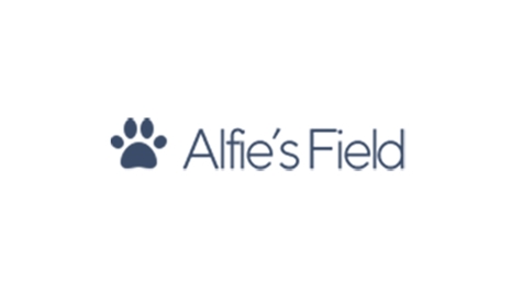 Alfies Field Case Study - Portfolio Button