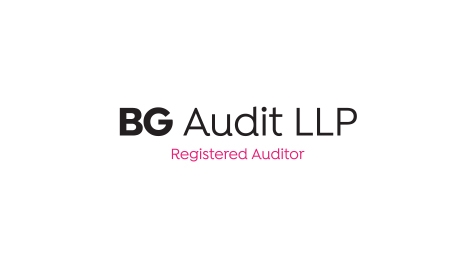 BG Audit Case Study - Portfolio Button