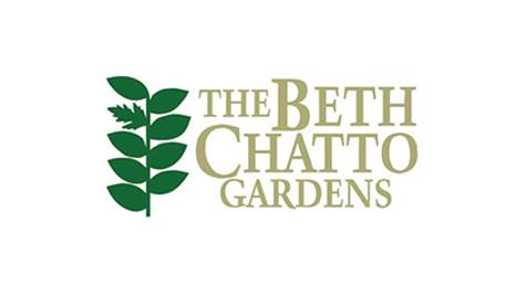 Beth Chatto Case Study - Portfolio Button