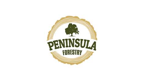 Peninsula Forestry Case Study - Portfolio Button