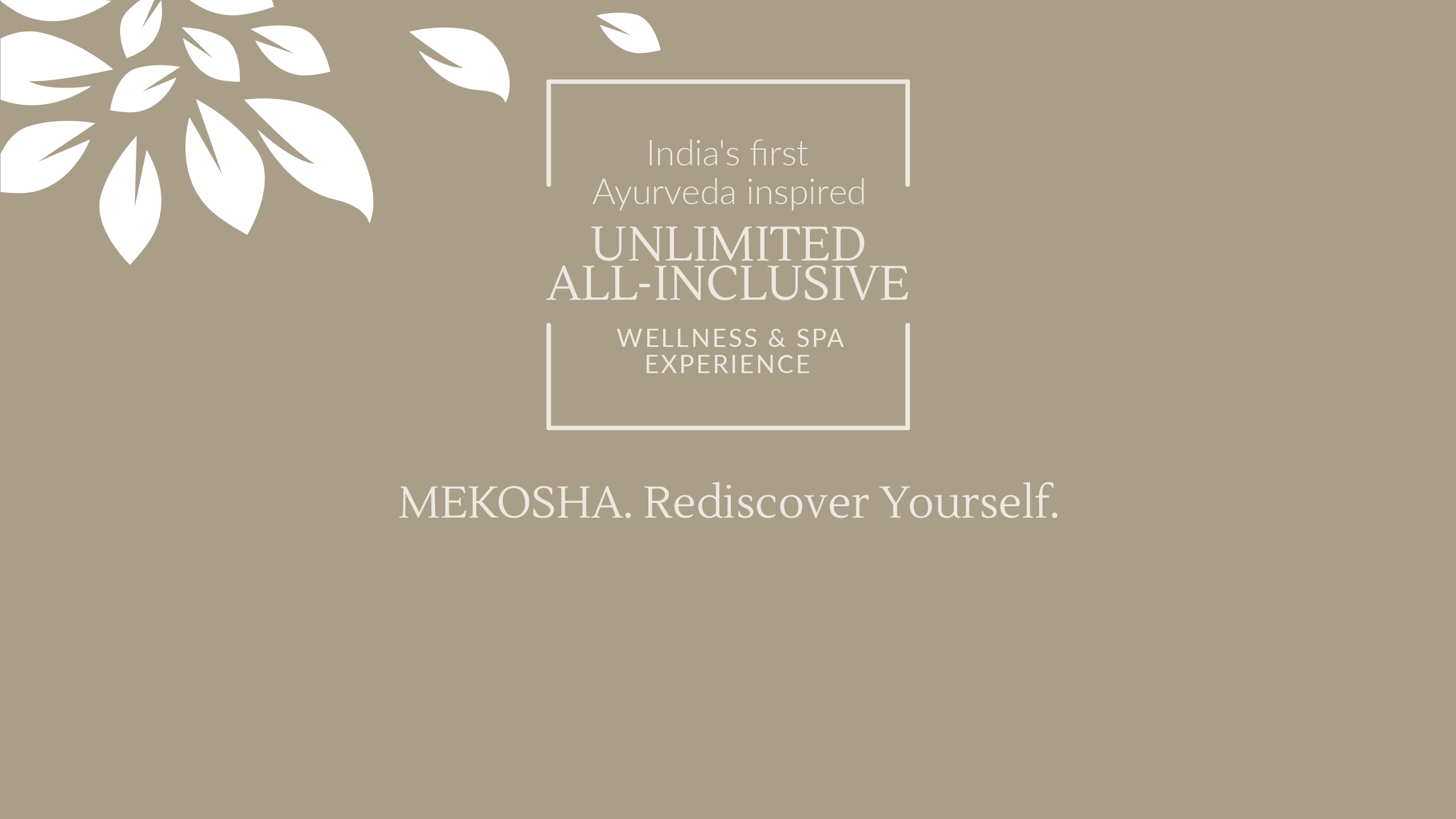 Mekosha Case Study - Mekosha Brand Study Header Image Introducing Brand 