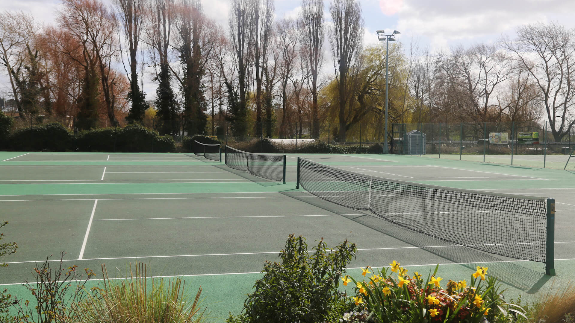 Courts at Woodbridge Tennis Club